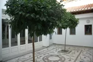 Patio blanco del Centro Cultural de la Mezquita con dos naranjos y suelo empedrado