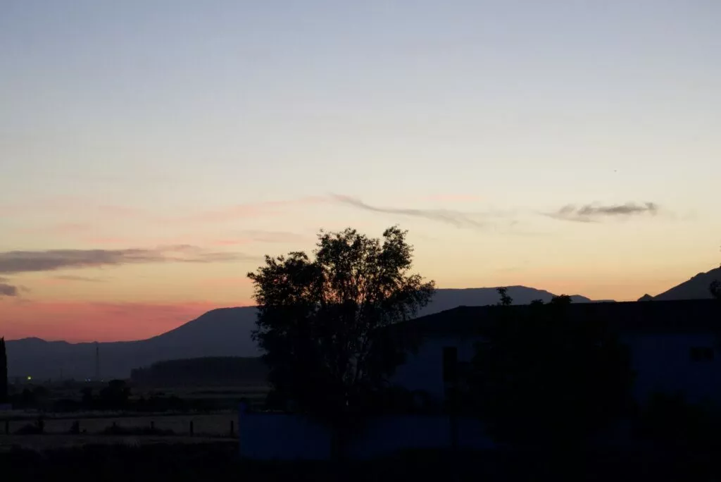 Atardecer sobre la vega, con la silueta de un árbol y las montañas recortadas en el cielo rosado