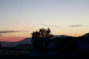 Atardecer sobre la vega, con la silueta de un árbol y las montañas recortadas en el cielo rosado