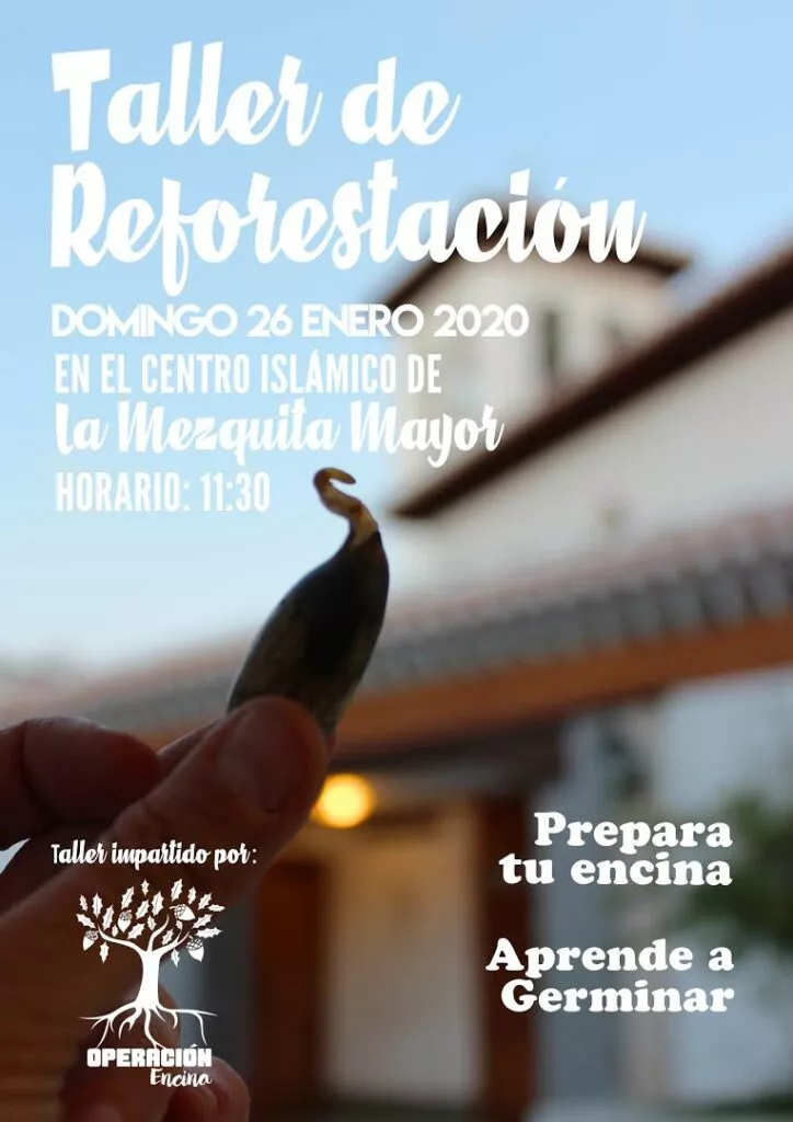 Cartel del taller de reforestación del domingo 26 de enero de 2020 a las 11:30 en la Mezquita Mayor