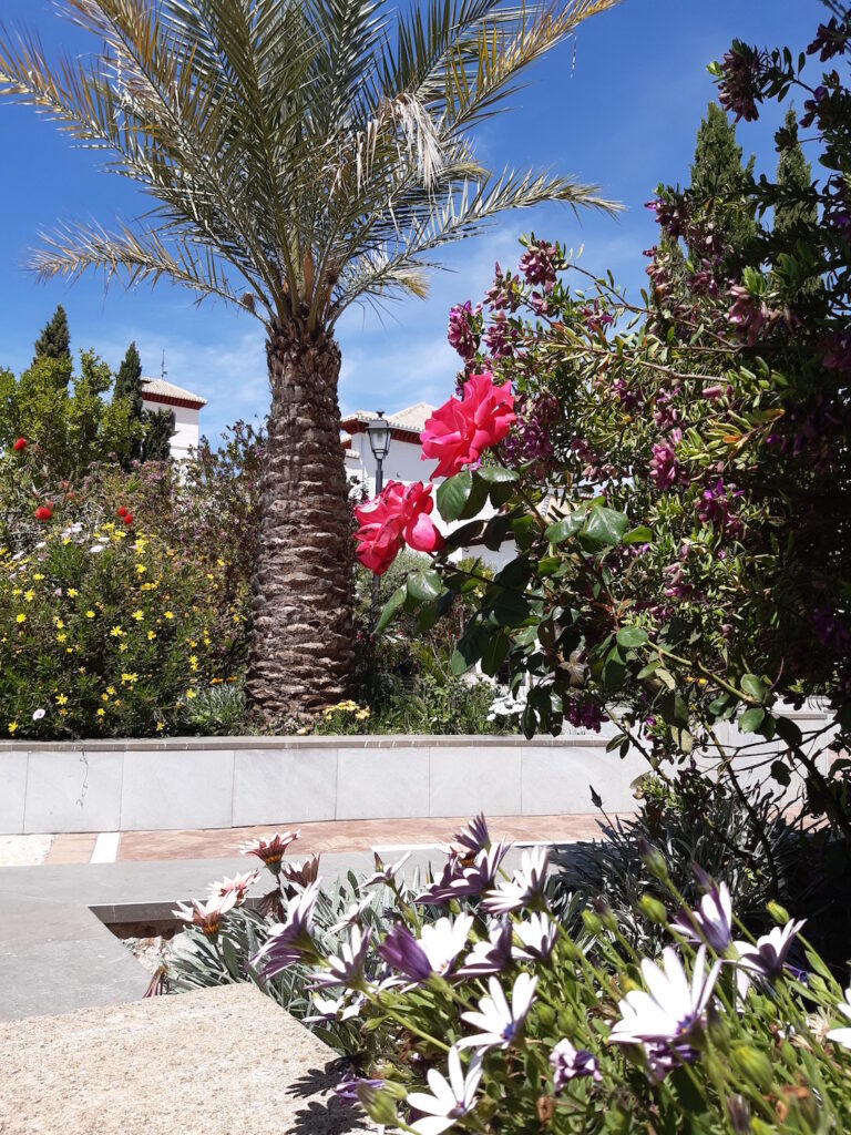 Mezquita de Granada