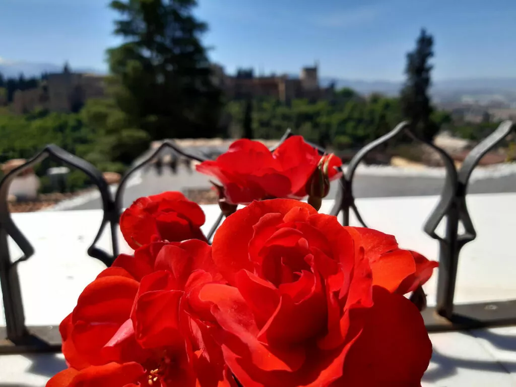 Rosas rojas en primer plano sobre la balaustrada del mirador, con la Alhambra desenfocada al fondo