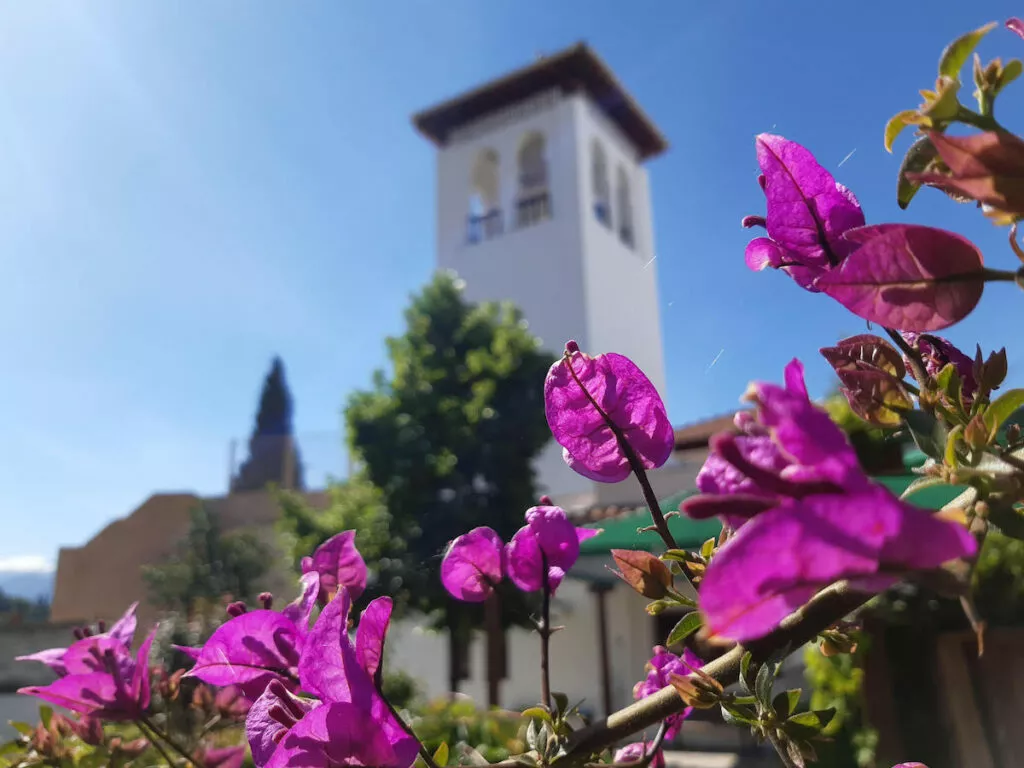 Buganvillas moradas en primer plano y el alminar blanco de la mezquita al fondo bajo cielo azul