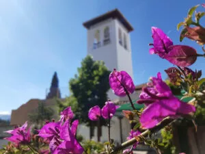 Buganvillas moradas en primer plano y el alminar blanco de la mezquita al fondo bajo cielo azul